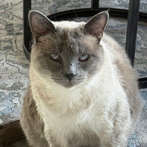 Meet your Posher, Kym A.